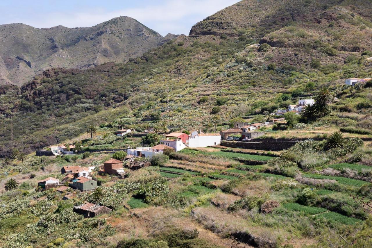 Home2Book Nature Carrizales And Masca House & Wifi بوينافيستا ديل نورتي المظهر الخارجي الصورة