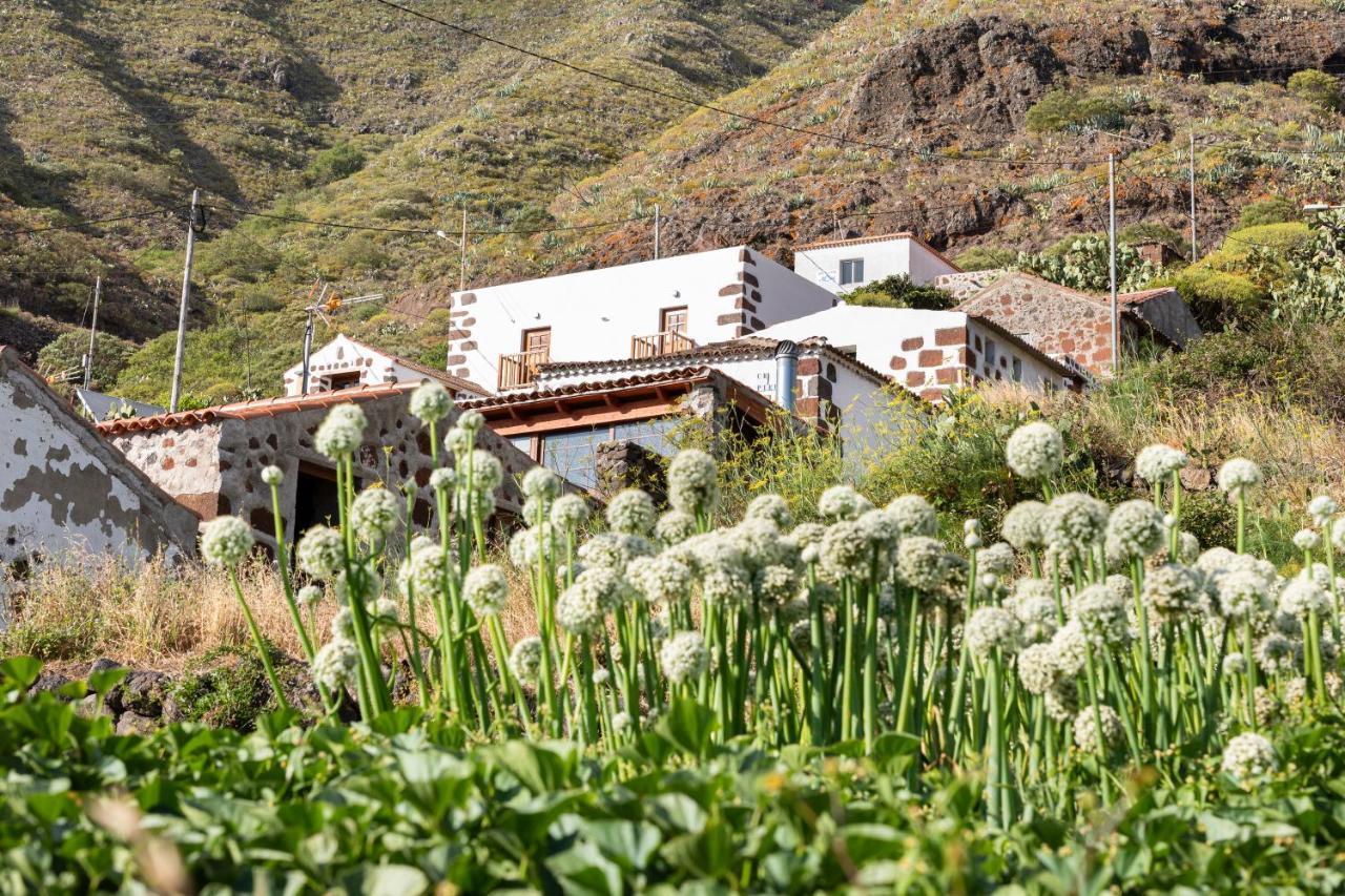 Home2Book Nature Carrizales And Masca House & Wifi بوينافيستا ديل نورتي المظهر الخارجي الصورة