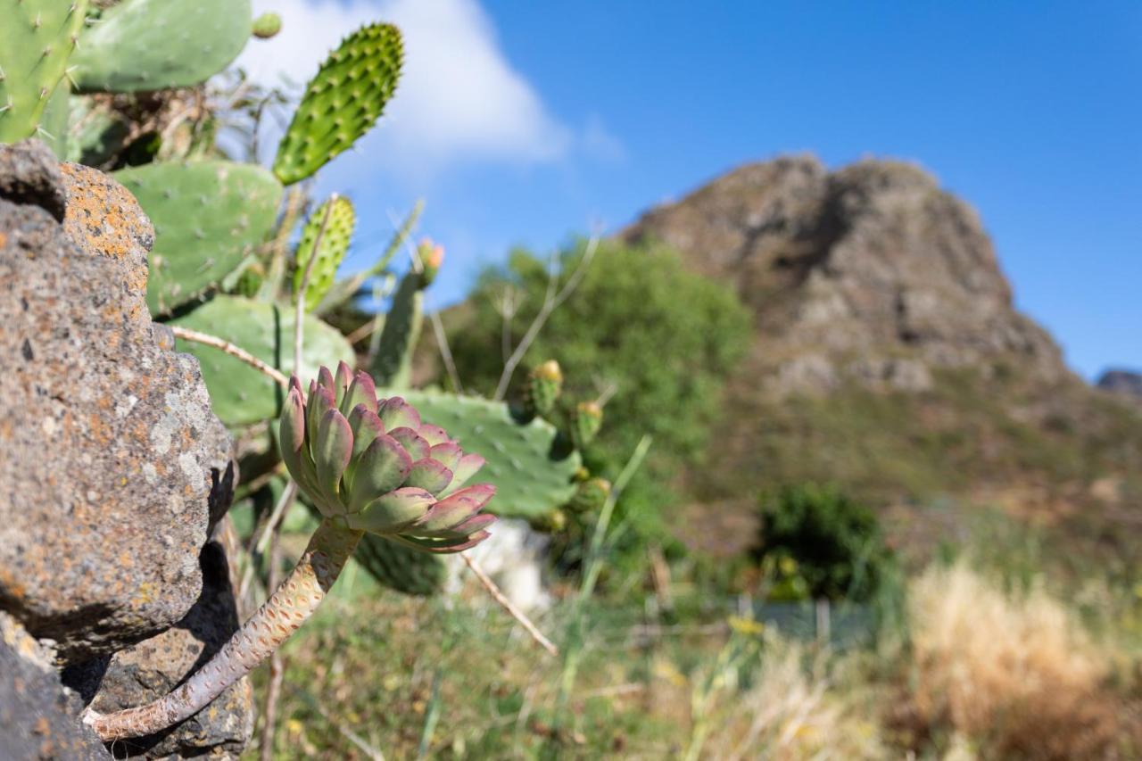 Home2Book Nature Carrizales And Masca House & Wifi بوينافيستا ديل نورتي المظهر الخارجي الصورة